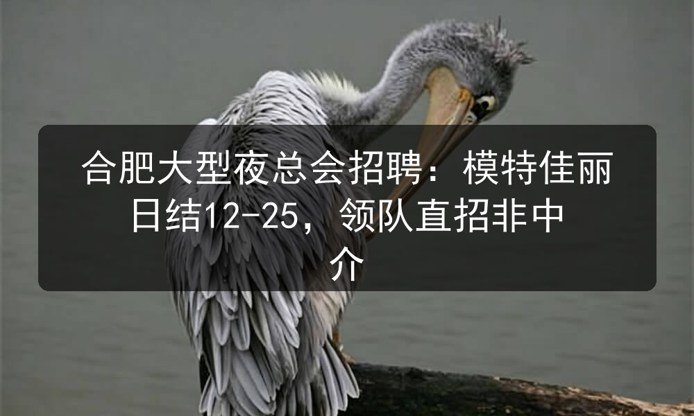 合肥天幕国际招聘